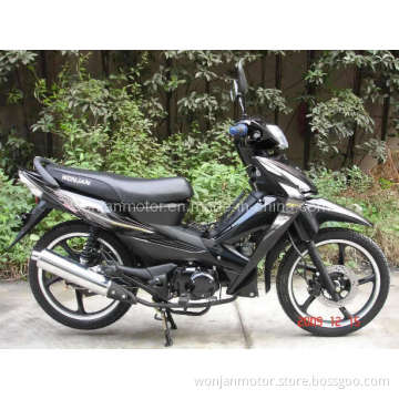 Asian Wolf Scooter (WJ110V)